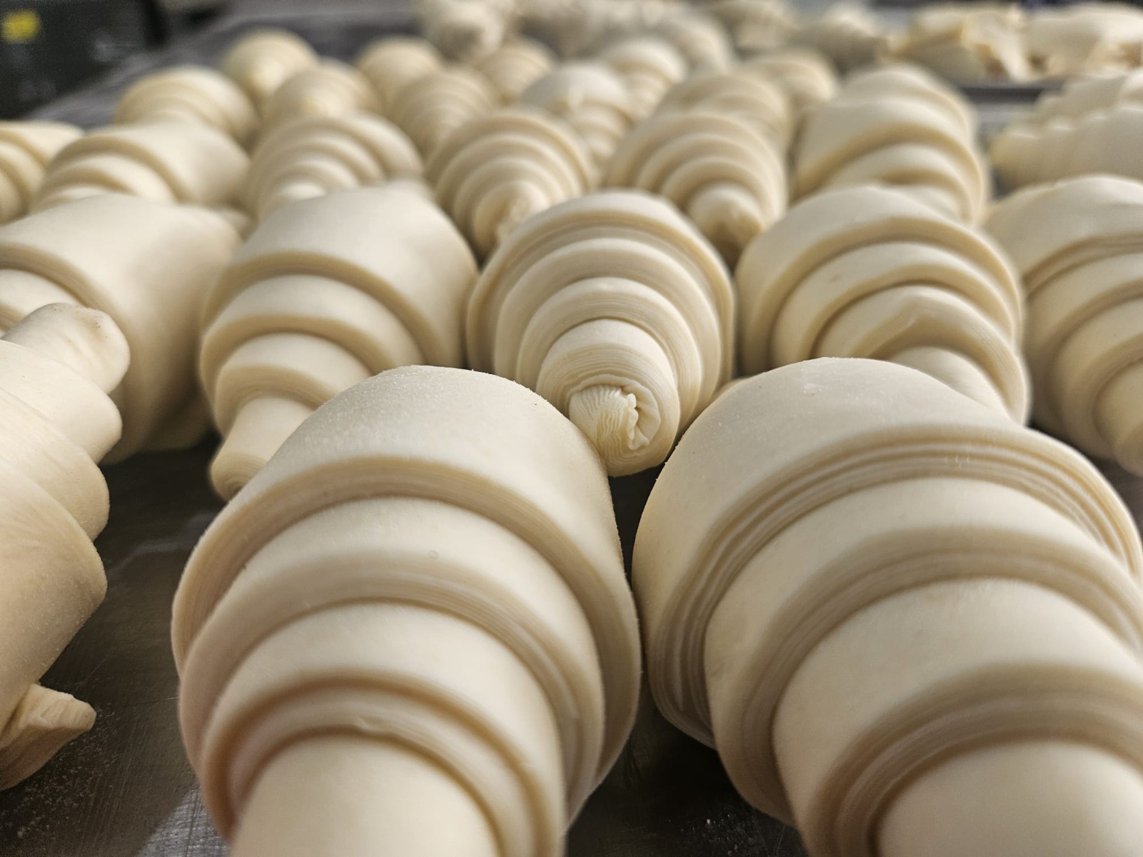 Rows of hand-shaped croissants ready for baking